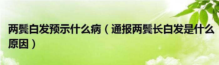 两鬓白发预示什么病（通报两鬓长白发是什么原因）