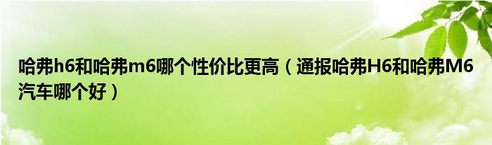 哈弗h6和哈弗m6哪个性价比更高（通报哈弗H6和哈弗M6汽车哪个好）