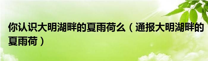 你认识大明湖畔的夏雨荷么(通报大明湖畔的夏雨荷)