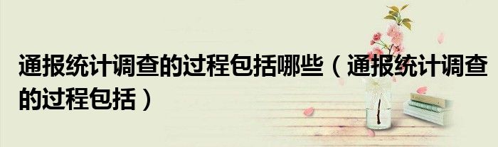 通报统计调查的过程包括哪些(通报统计调查的过程包括)
