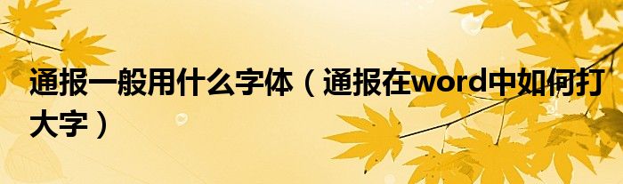 通报一般用什么字体(通报在word中如何打大字)