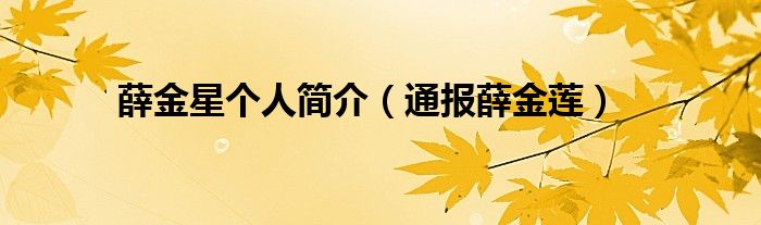 薛金星个人简介(通报薛金莲)