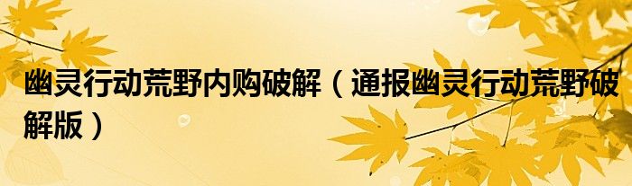幽灵行动荒野内购破解(通报幽灵行动荒野破解版)