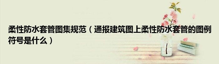 柔性防水套管图集规范(通报建筑图上柔性防水套管的图例符号是什么)