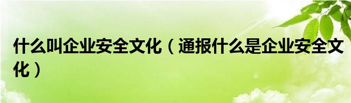 什么叫企业安全文化(通报什么是企业安全文化)
