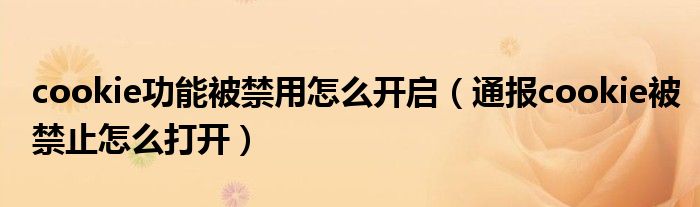 cookie功能被禁用怎么开启(通报cookie被禁止怎么打开)