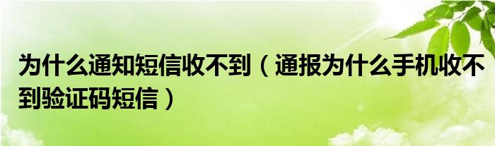 为什么通知短信收不到(通报为什么手机收不到验证码短信)