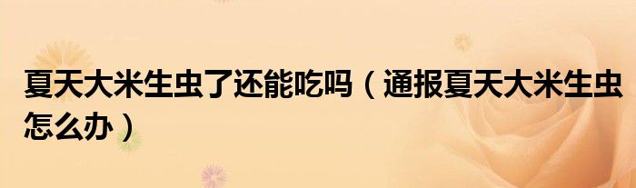夏天大米生虫了还能吃吗(通报夏天大米生虫怎么办)