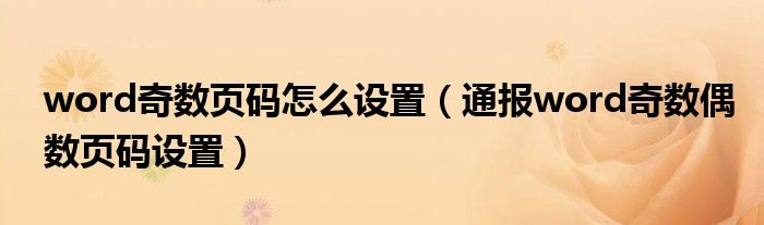 word奇数页码怎么设置(通报word奇数偶数页码设置)