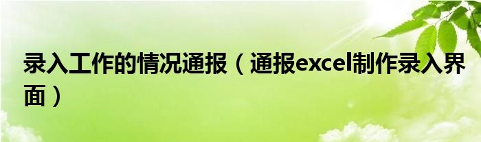 录入工作的情况通报(通报excel制作录入界面)