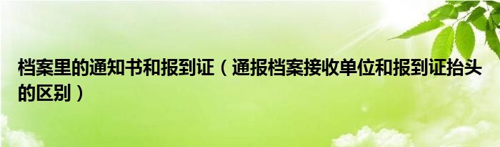 档案里的通知书和报到证(通报档案接收单位和报到证抬头的区别)