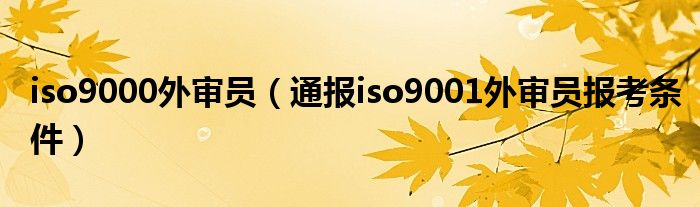 iso9000外审员(通报iso9001外审员报考条件)