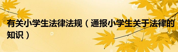 有关小学生法律法规(通报小学生关于法律的知识)