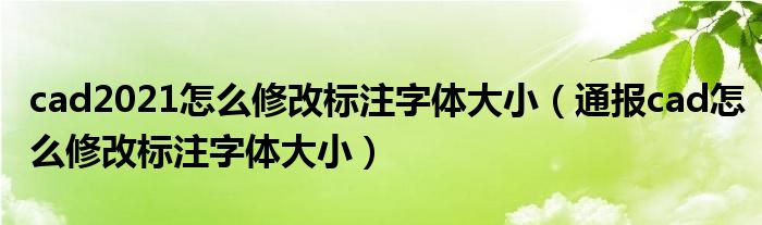 cad2021怎么修改标注字体大小(通报cad怎么修改标注字体大小)