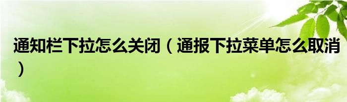 通知栏下拉怎么关闭(通报下拉菜单怎么取消)