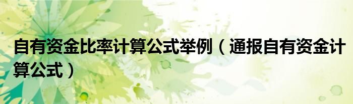 自有资金比率计算公式举例(通报自有资金计算公式)