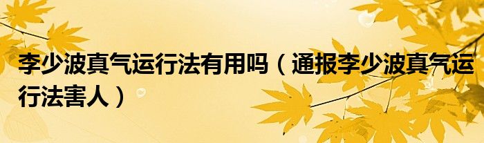 李少波真气运行法有用吗(通报李少波真气运行法害人)