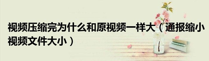视频压缩完为什么和原视频一样大(通报缩小视频文件大小)