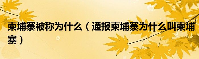 柬埔寨被称为什么(通报柬埔寨为什么叫柬埔寨)