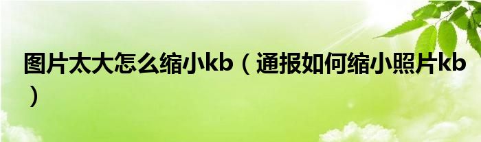 图片太大怎么缩小kb(通报如何缩小照片kb)