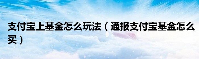 支付宝上基金怎么玩法(通报支付宝基金怎么买)