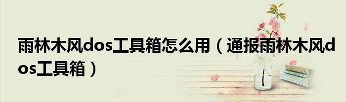 雨林木风dos工具箱怎么用(通报雨林木风dos工具箱)