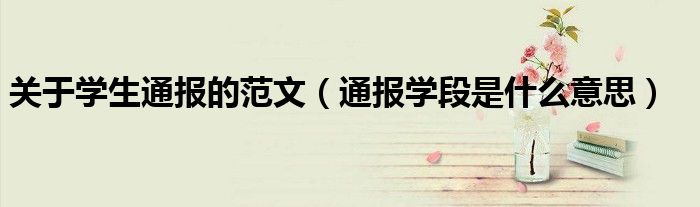 关于学生通报的范文(通报学段是什么意思)