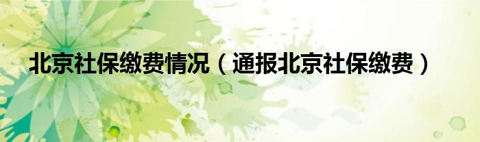 北京社保缴费情况(通报北京社保缴费)