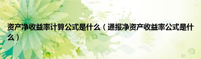 资产净收益率计算公式是什么(通报净资产收益率公式是什么)