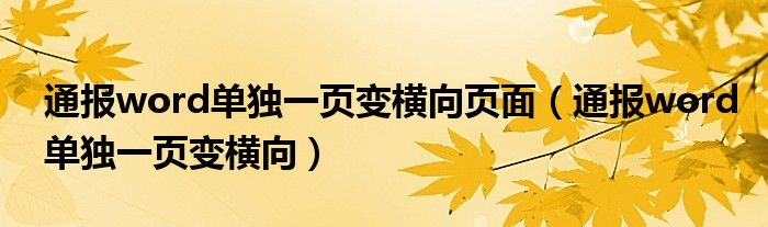 通报word单独一页变横向页面(通报word单独一页变横向)