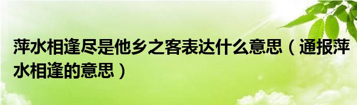 萍水相逢尽是他乡之客表达什么意思(通报萍水相逢的意思)