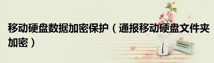 移动硬盘数据加密保护(通报移动硬盘文件夹加密)