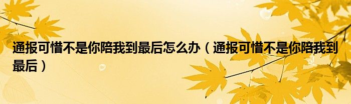 通报可惜不是你陪我到最后怎么办(通报可惜不是你陪我到最后)