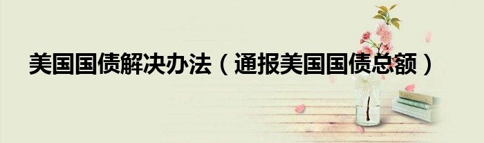 美国国债解决办法(通报美国国债总额)
