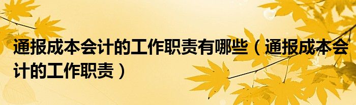 通报成本会计的工作职责有哪些(通报成本会计的工作职责)