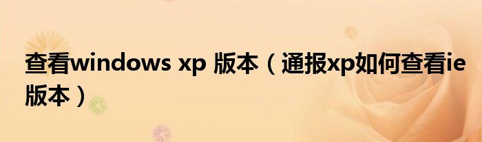 查看windows xp 版本(通报xp如何查看ie版本)