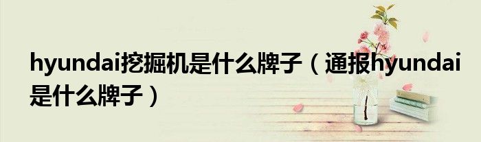hyundai挖掘机是什么牌子(通报hyundai是什么牌子)