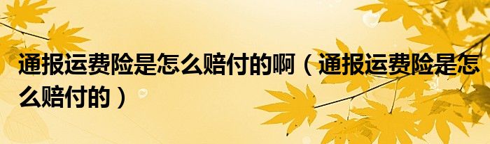 通报运费险是怎么赔付的啊(通报运费险是怎么赔付的)