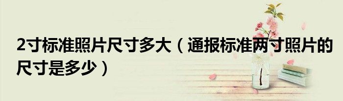 2寸标准照片尺寸多大(通报标准两寸照片的尺寸是多少)
