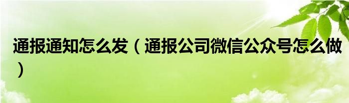 通报通知怎么发(通报公司微信公众号怎么做)