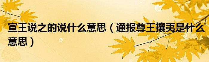 宣王说之的说什么意思(通报尊王攘夷是什么意思)