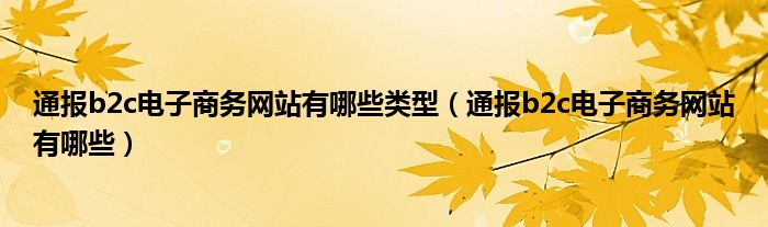 通报b2c电子商务网站有哪些类型(通报b2c电子商务网站有哪些)