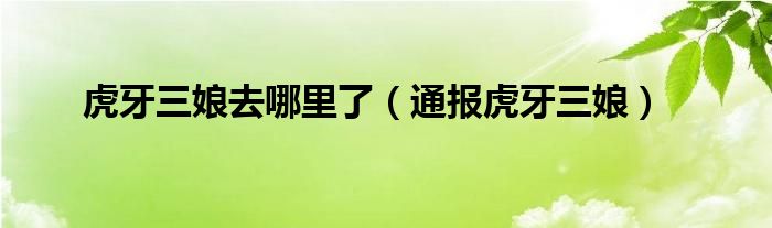 虎牙三娘去哪里了(通报虎牙三娘)