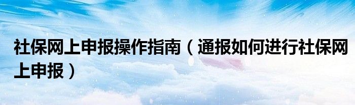 社保网上申报操作指南(通报如何进行社保网上申报)