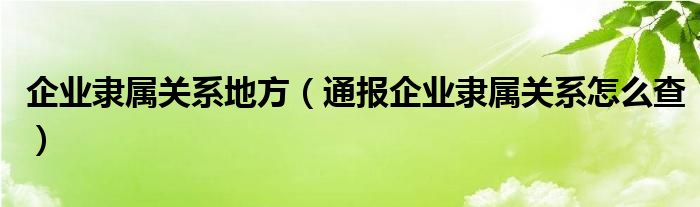 企业隶属关系地方(通报企业隶属关系怎么查)