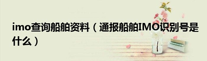 imo查询船舶资料（通报船舶IMO识别号是什么）