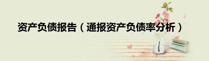 资产负债报告(通报资产负债率分析)