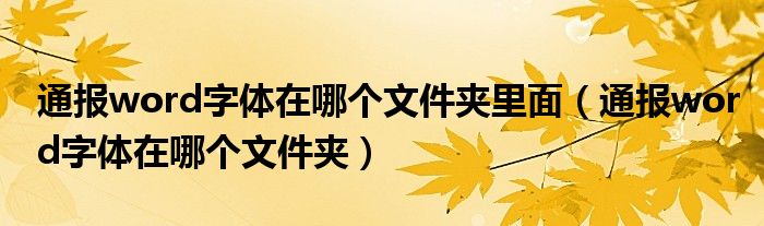 通报word字体在哪个文件夹里面(通报word字体在哪个文件夹)