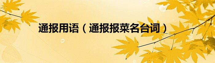 通报用语（通报报菜名台词）