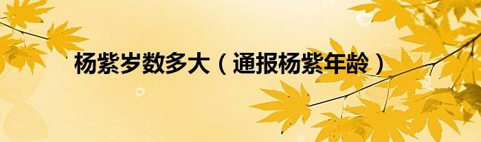 杨紫岁数多大(通报杨紫年龄)